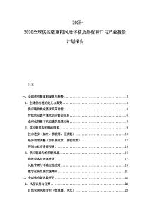 2025-2030全球供應鏈重構風險評估及外貿轉口與產業投資計劃報告