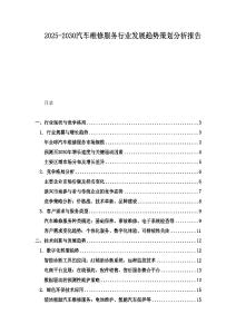 2025-2030汽车维修服务行业发展趋势策划分析报告