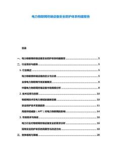 電力物聯網終端設備安全防護體系構建報告