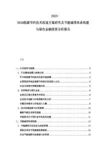 2025-2030能源節約技術改造方案研究及節能減排體系構建與綠色金融投資分析報告