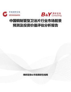 中國銅制管型衛浴片行業市場前景預測及投資價值評估分析報告