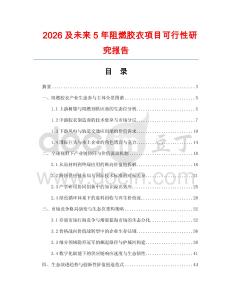 2026及未來5年阻燃膠衣項目可行性研究報告