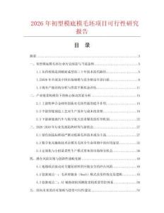 2026年初型模底模毛坯项目可行性研究报告