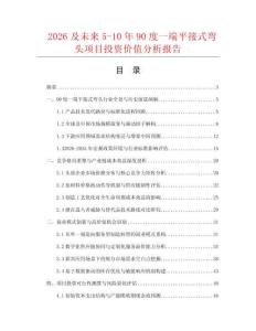 2026及未来5-10年90度一端平接式弯头项目投资价值分析报告