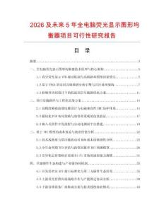 2026及未來5年全電腦熒光顯示圖形均衡器項目可行性研究報告