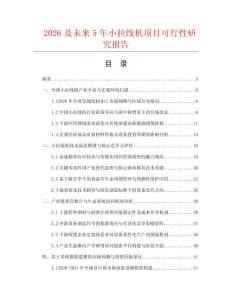 2026及未來5年小拉線機(jī)項(xiàng)目可行性研究報(bào)告