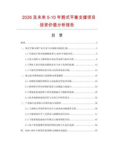 2026及未來5-10年剪式平衡支撐項目投資價值分析報告