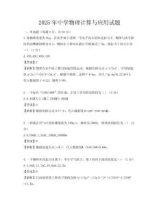 2025年中学物理计算与应用试题