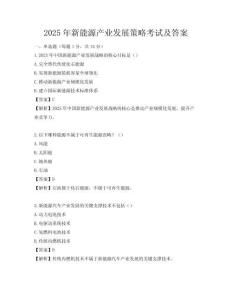 2025年新能源產業發展策略考試及答案