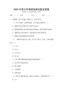 2025年青少年物理竞赛试题及答案