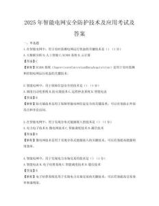 2025年智能電網安全防護技術及應用考試及答案