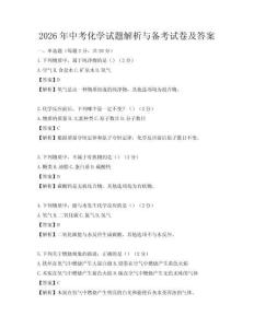 2026年中考化學試題解析與備考試卷及答案