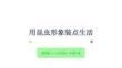 冀美版（2024）小學(xué)美術(shù)一年級(jí)下冊(cè)《用昆蟲(chóng)形象裝點(diǎn)生活》教學(xué)課件