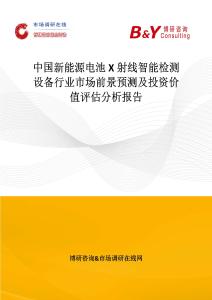 中國新能源電池X射線智能檢測設備行業市場前景預測及投資價值評估分析報告