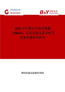 2025年中国冰甲基丙烯酸（GMAA）行业市场全景分析及前景机遇研判报告