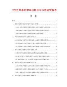 2026年弧形簾電機(jī)項目可行性研究報告