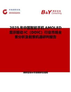 2025年中国智能手机AMOLED显示驱动IC（DDIC）行业市场全景分析及前景机遇研判报告