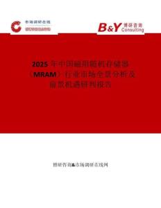 2025年中国磁阻随机存储器（MRAM）行业市场全景分析及前景机遇研判报告