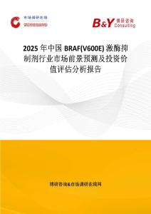 2025年中国BRAF(V600E) 激酶抑制剂行业市场前景预测及投资价值评估分析报告