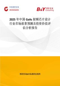 2025年中國GaAs射頻芯片設(shè)計行業(yè)市場前景預(yù)測及投資價值評估分析報告