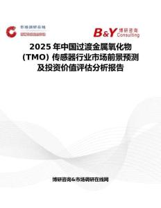 2025年中國(guó)過渡金屬氧化物 (TMO) 傳感器行業(yè)市場(chǎng)前景預(yù)測(cè)及投資價(jià)值評(píng)估分析報(bào)告