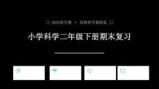 2026春學期小學教科版科學二年級下冊期末復習課件