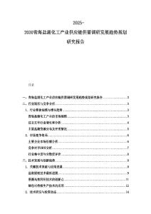 2025-2030青海鹽湖化工產業供應鏈供需調研發展趨勢規劃研究報告