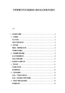 中國智慧燈桿多功能集成與城市試點(diǎn)效果評估報(bào)告
