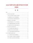 2026年燃气式单头矮仔炉项目可行性研究报告