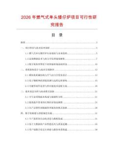 2026年燃气式单头矮仔炉项目可行性研究报告