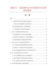 2026年一次成型凹片冲片机项目可行性研究报告