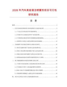 2026年汽車美容清潔噴霧劑項目可行性研究報告