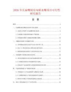 2026年长扁嘴厨房双联水嘴项目可行性研究报告