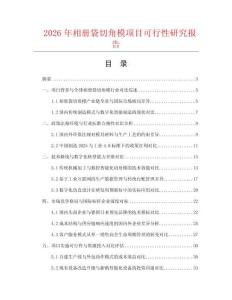 2026年相冊袋切角模項目可行性研究報告