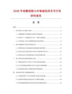 2026年硅酸鋁耐火纖維縫氈項目可行性研究報告
