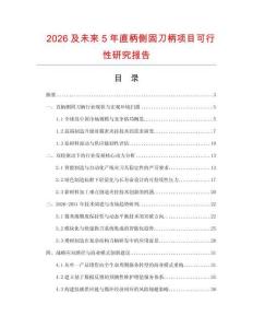 2026及未来5年直柄侧固刀柄项目可行性研究报告