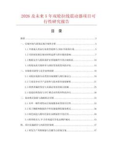 2026及未来5年双轮拉线震动器项目可行性研究报告