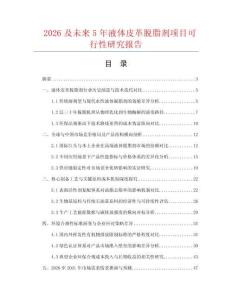 2026及未來5年液體皮革脫脂劑項目可行性研究報告