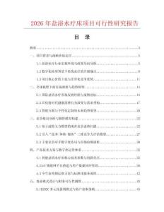 2026年鹽浴水療床項(xiàng)目可行性研究報(bào)告