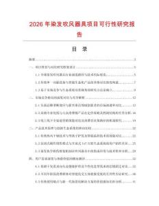 2026年染發(fā)吹風(fēng)器具項(xiàng)目可行性研究報(bào)告