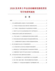 2026及未來5年全自動纏繞包裝機項目可行性研究報告