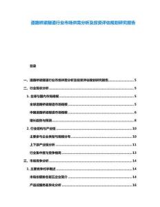 道路桥梁隧道行业市场供需分析及投资评估规划研究报告