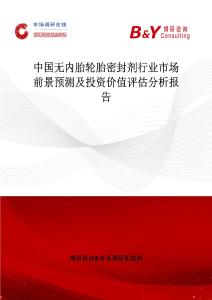 中國無內胎輪胎密封劑行業市場前景預測及投資價值評估分析報告