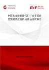 中國無內胎輪胎氣門行業市場前景預測及投資價值評估分析報告