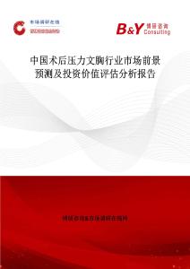 中国术后压力文胸行业市场前景预测及投资价值评估分析报告