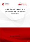 中国棱柱形镍氢（NiMH）电池行业市场前景预测及投资价值评估分析报告