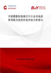 中國模數轉換器芯片行業市場前景預測及投資價值評估分析報告