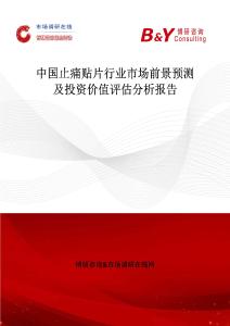 中國止痛貼片行業(yè)市場前景預(yù)測及投資價值評估分析報告
