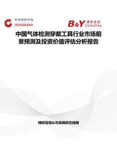 中国气体检测穿戴工具行业市场前景预测及投资价值评估分析报告