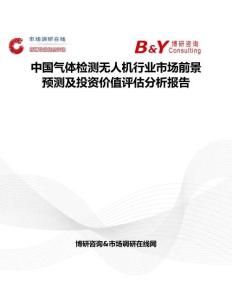 中国气体检测无人机行业市场前景预测及投资价值评估分析报告